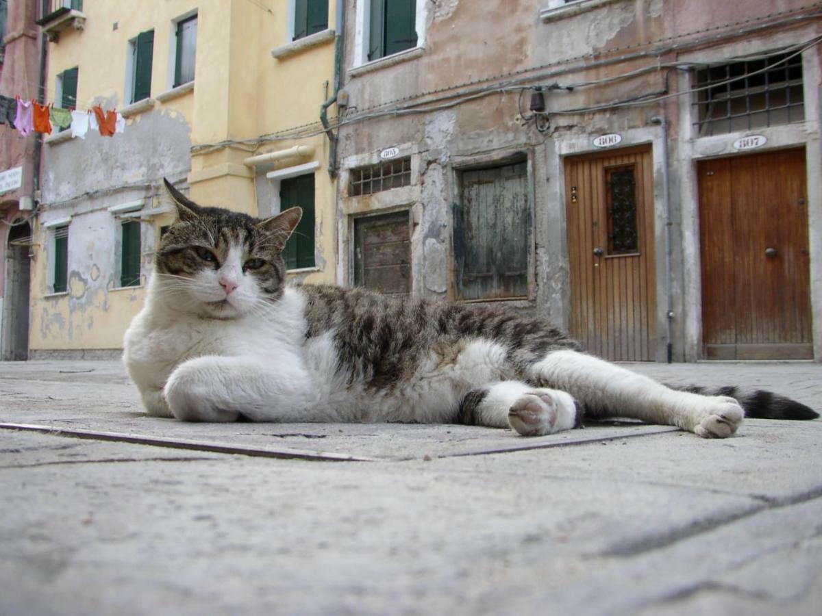 Rudy House Venezia Esterno foto